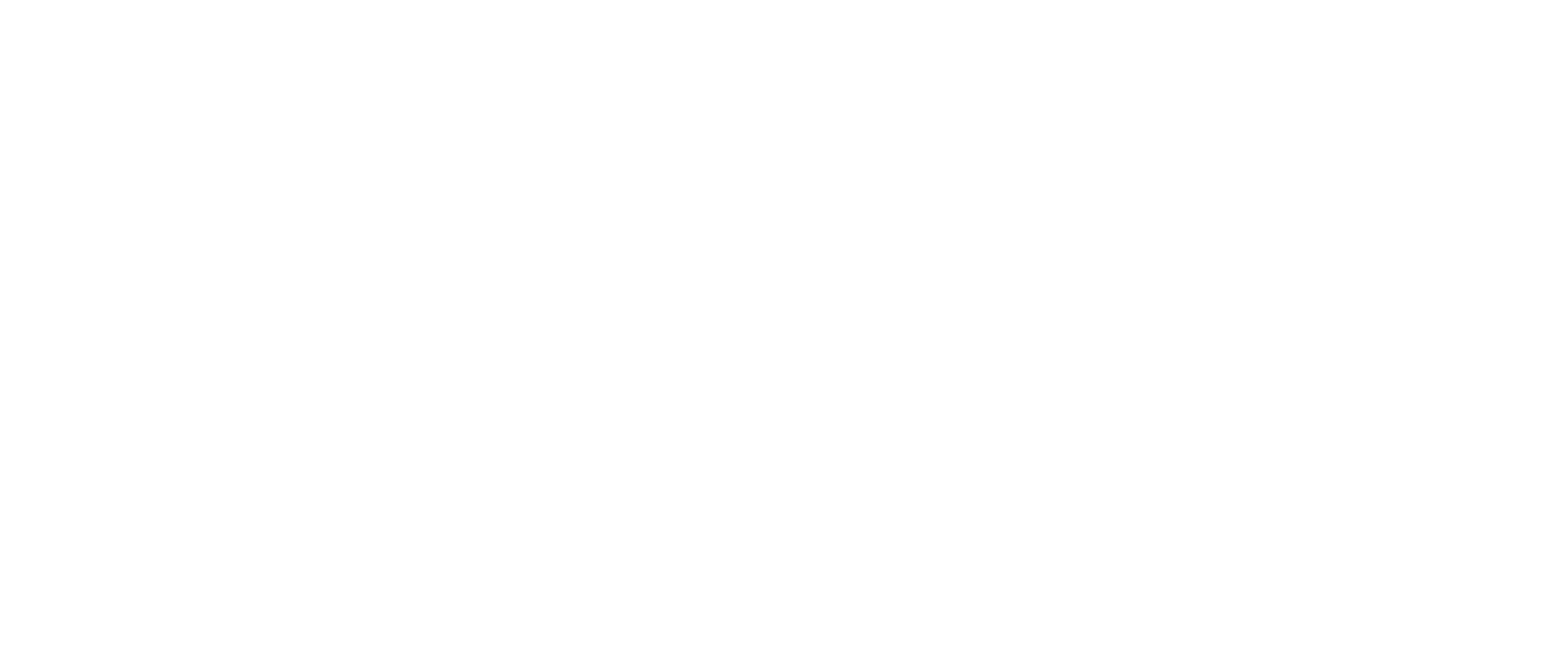 VISA Logo